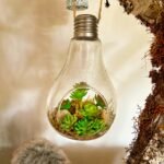 clear glass bottle with green leaves